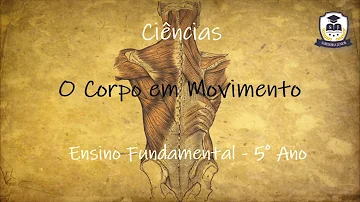 O que é necessário para manter um corpo em movimento?