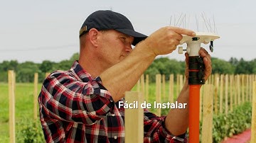 Cabure en Alianza con Arable