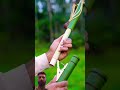Bamboo Creation with new Beautiful slingshot #bamboo #diy #bambooart #memes #bamboodecor #viralvideo