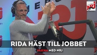 DÅ tar man häst till jobbet!  - NRJ SWEDEN