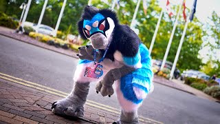 Confuzzled 2024