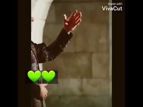 دستور السلطانة هيام