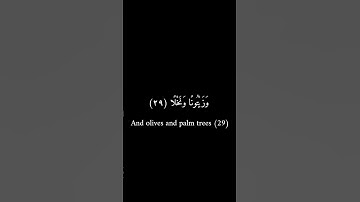 كرومات سوداء _ أحمد شكيو _ سورة عبس #قرآن #فيه_شفاء_للناس #كرومات_سوداء