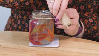 Autumn Leaf Lanterns Tutorial 🍁 | Tanio TV