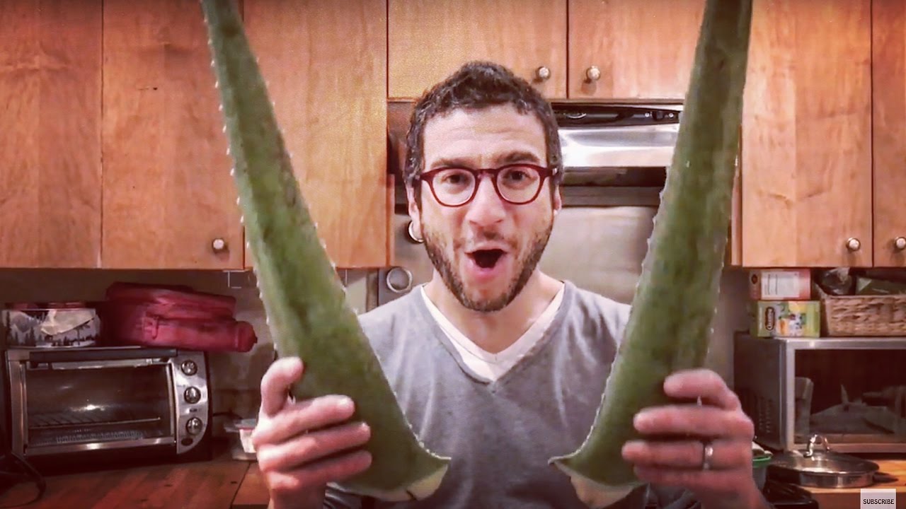 Aloe Vera Does Not Taste Like Jello Youtube