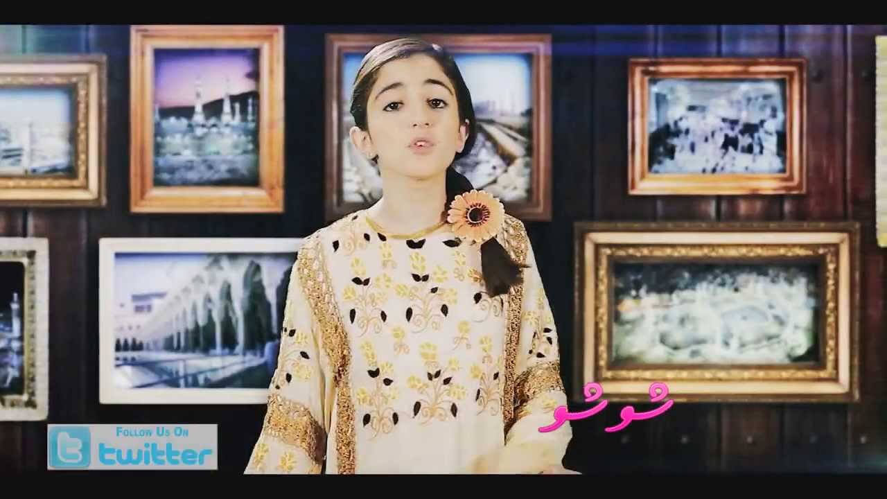 الي بقلبي كبير | ديمة بشار | 2014