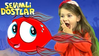 Kırmızı Balık | Sevimli Dostlar ve kırmızı balık bebek şarkıları | Kirmizi Balik çocuk şarkısı Resimi