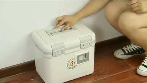 Single Use Disposable Temperature Data Logger Fresh Tag 1