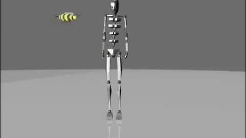 Biped Animation