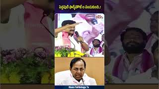 పెద్దపులి ఫామ్ హౌజ్ ల ల పండుకుంది..! #kcr #talasanisrinivas #ytshorts #manatolivelugu