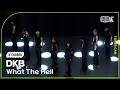 [K-Choreo Tower Cam 4K]  다크비 &#39;What The Hell &#39; (DKB Choreography) l @MusicBank KBS 231201