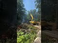 Land Clearing for Tiny Home