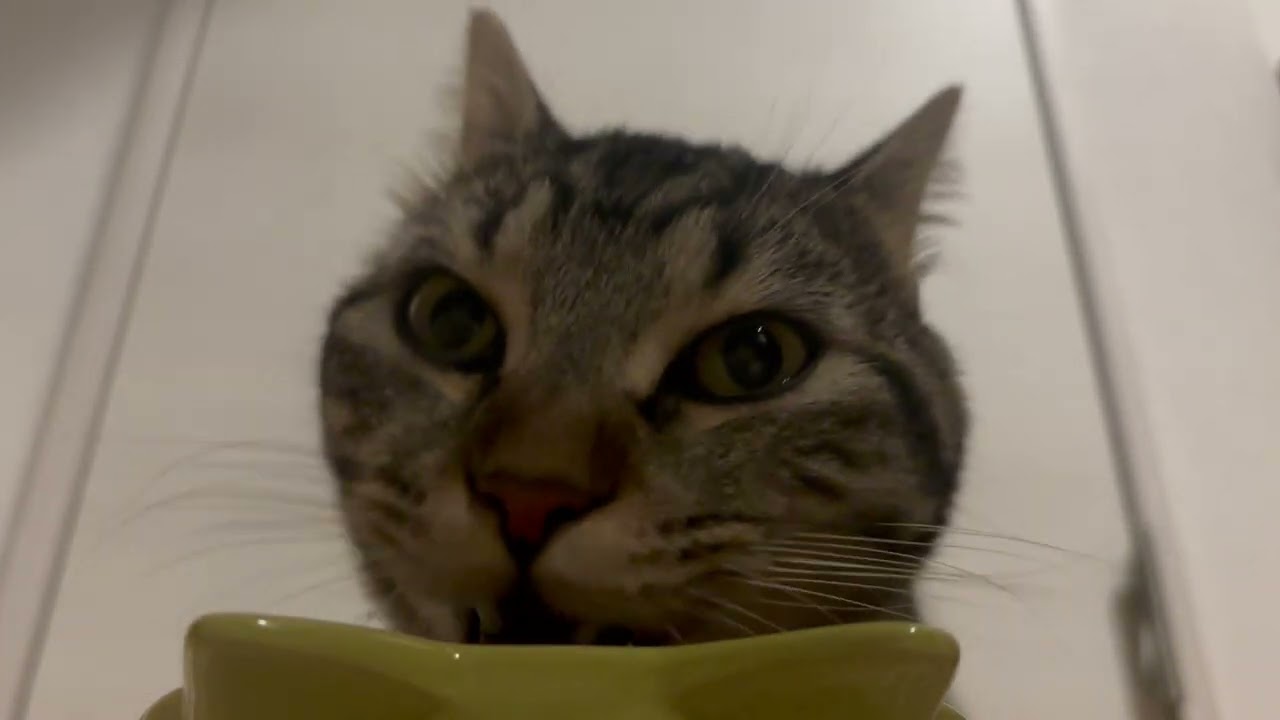 【モッパン】108