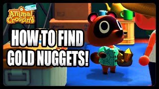 How To Find Gold Nuggets in Animal Crossing New Horizons!