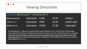 Master the Terminal in 30 Minutes