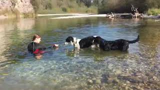 Der Tierflüsterer - Heiko Steinmann - im Hundehotel Anders (Österreich)