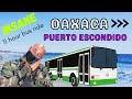 How to get to PUERTO Escondido / Oaxaca to Puerto Escondido by bus (2021)