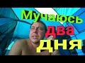 НЕ ОЖИДАЛ СИМПТОМЫ НА МОРЕ. Не купаемся два дня! Нашествие медуз - Железный Порт 2020.