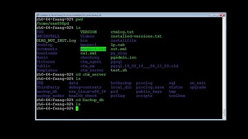 How to backup and restore specific tables in Control M Server Database