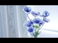アネモネ / 中原麻衣 【歌ってみた】