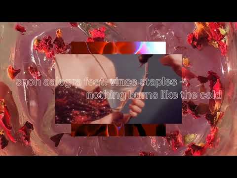 Snoh Aalegra feat. Vince Staples - Nothing Burns Like The Cold ( s l o w e d )
