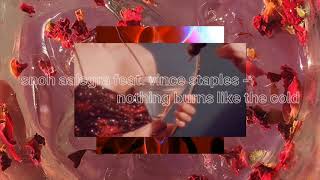 Snoh Aalegra feat. Vince Staples - Nothing Burns Like The Cold ( s l o w e d )