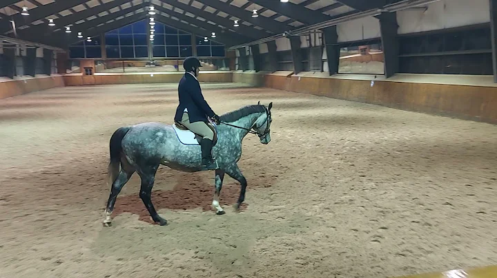 Carl Callahan and Sparka Winning Shake - Class 18 ...