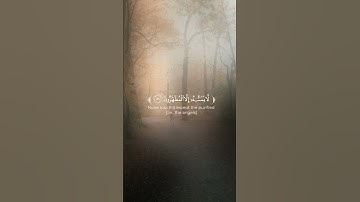 [انه لقرآن كريم] اكتب شيئ تؤجر عليه... ✨💖