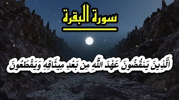 ما تيسر من سورة البقرة، تقليد ومحاكاة للشيخ ناصر القطامي #قران_كريم #قرآن