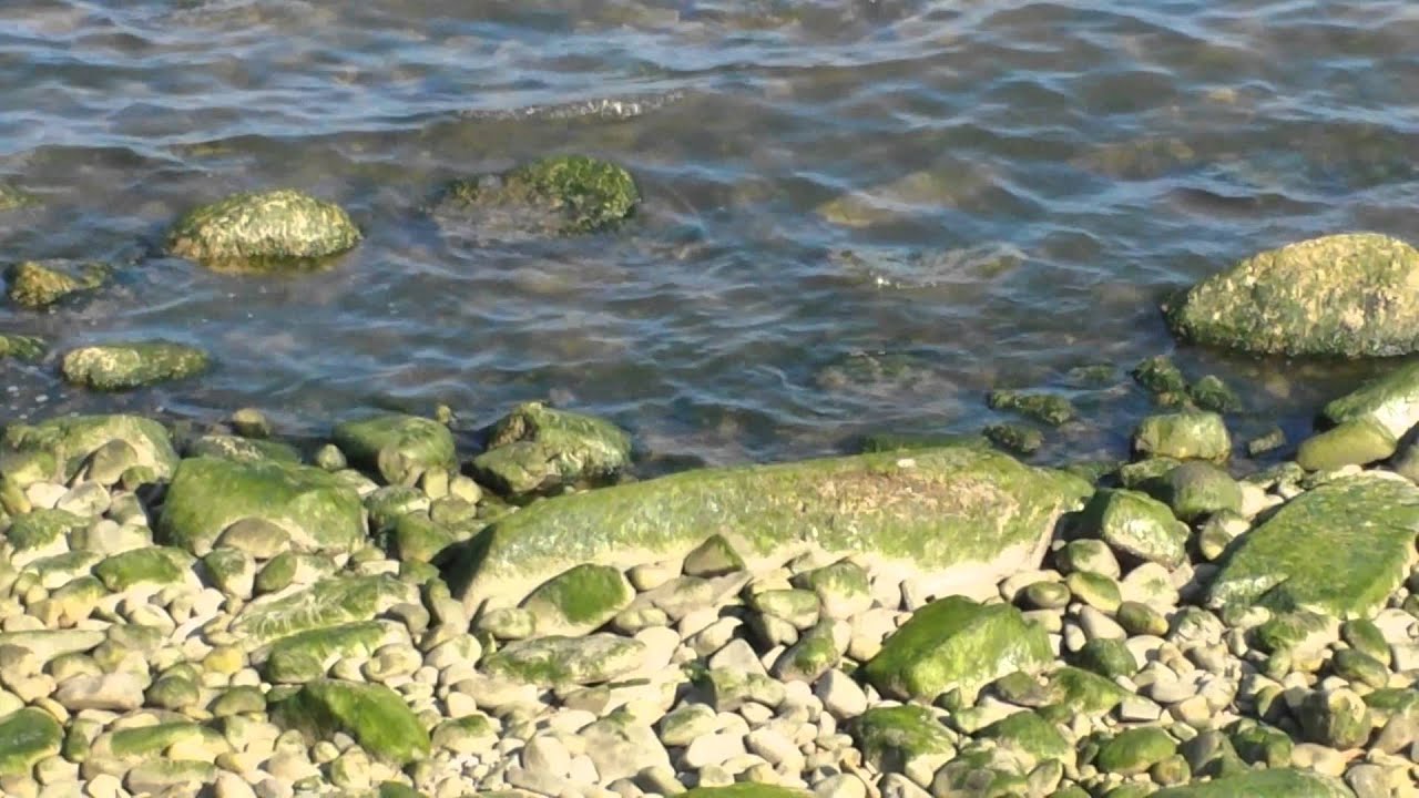 sdfdsfsdf-youtube