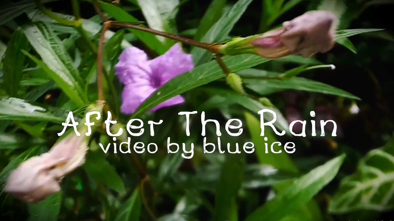 How Long Does Milk Stay Fresh After The Expiration Date