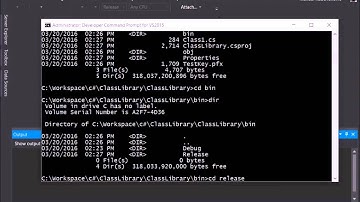C# 6.0 Tutorial - Advanced - 4. Register an assembly in GAC