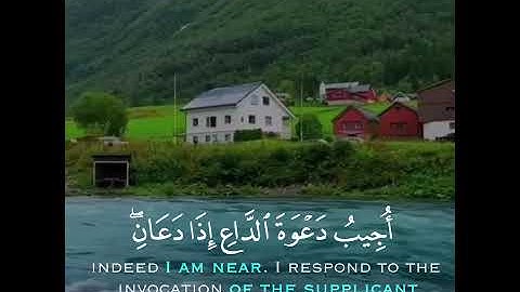 تلاوة هادئة وقصيرة || القارئ : وديع اليمني || سورة : البقرة 🌷💚🌷