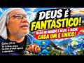 DEUS É FANTÁSTICO! NADA NO MUNDO É IGUAL A NADA! CADA UM É ÚNICO!