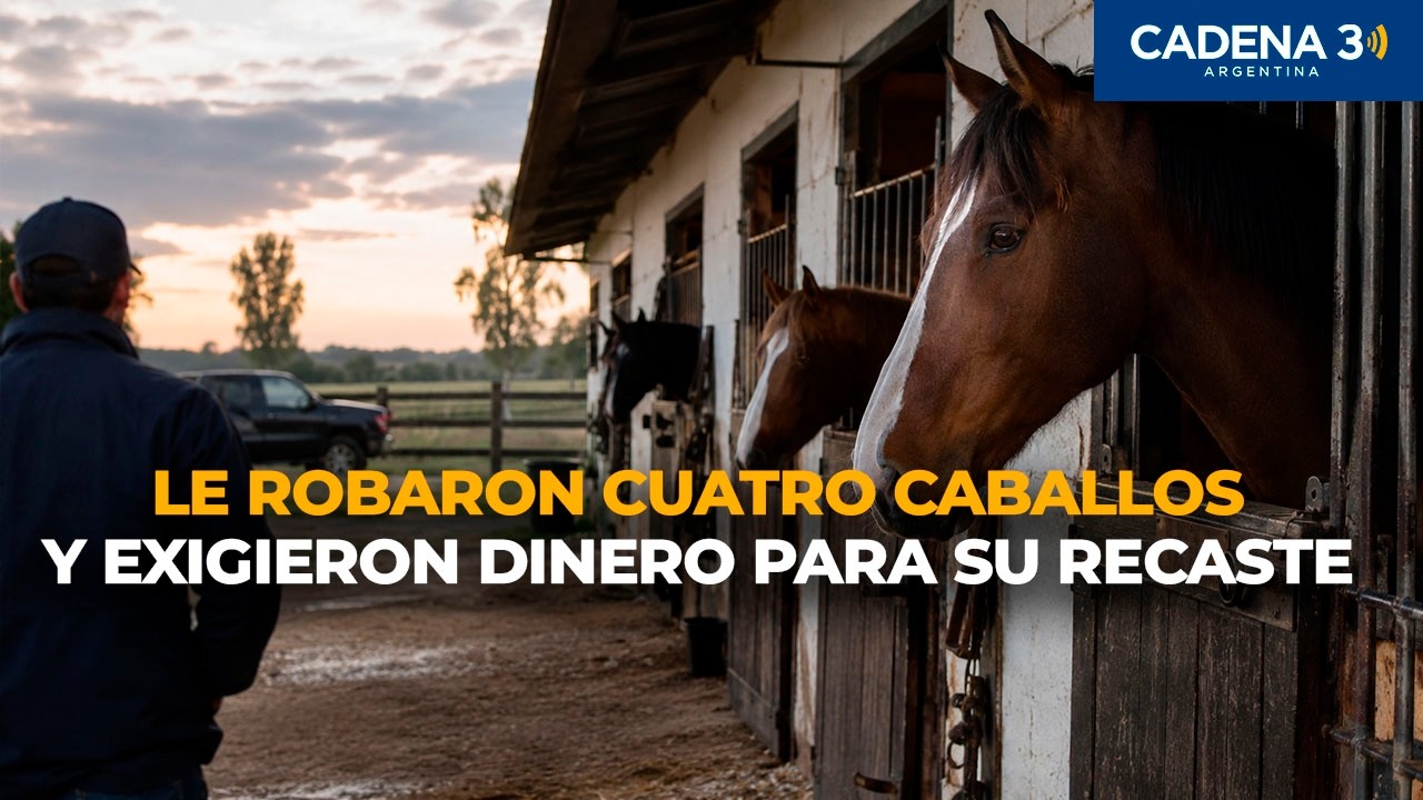 ►Córdoba: rescate millonario tras cinematográfico robo de caballos