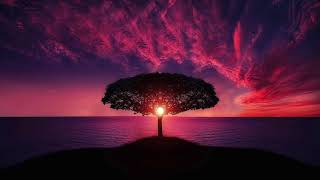 ノーベル人生賞