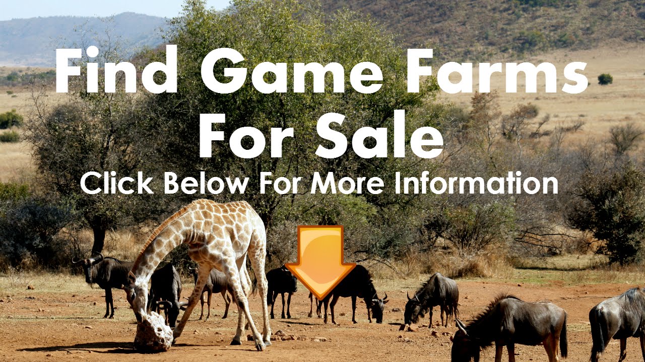 Game Farms For Sale Botswana YouTube