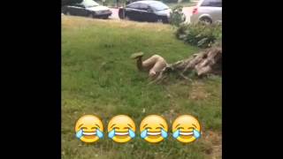 The Outcome Of Bottomless Mimosas