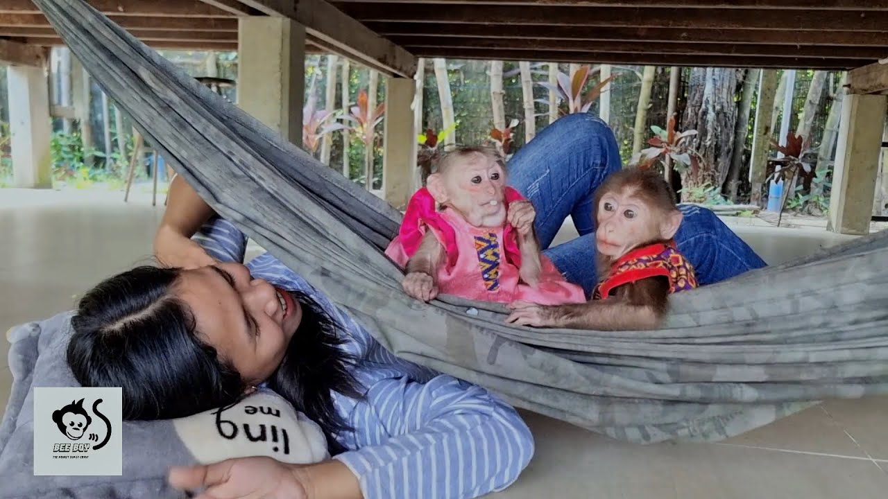 So happy, Brothers and sisters do not sleep on the hammock, just play