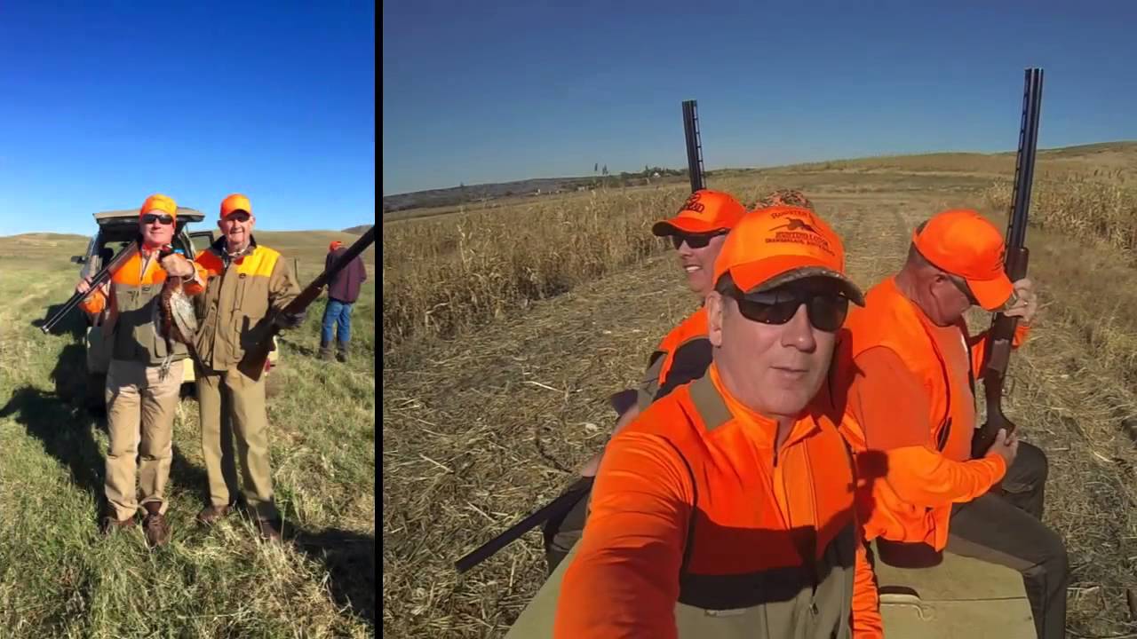 South Dakota Pheasant Hunting Rooster Ridge 2015 YouTube
