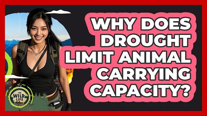 Why Does Drought Limit Animal Carrying Capacity? - The Wild Life Explorer
