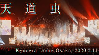 【LIVE】天道虫 -Kyocera Dome Osaka, 2020.2.11-