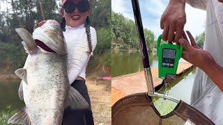 The beautiful woman went to the boss's giant silver carp and bighead carp, and the boss wanted to m