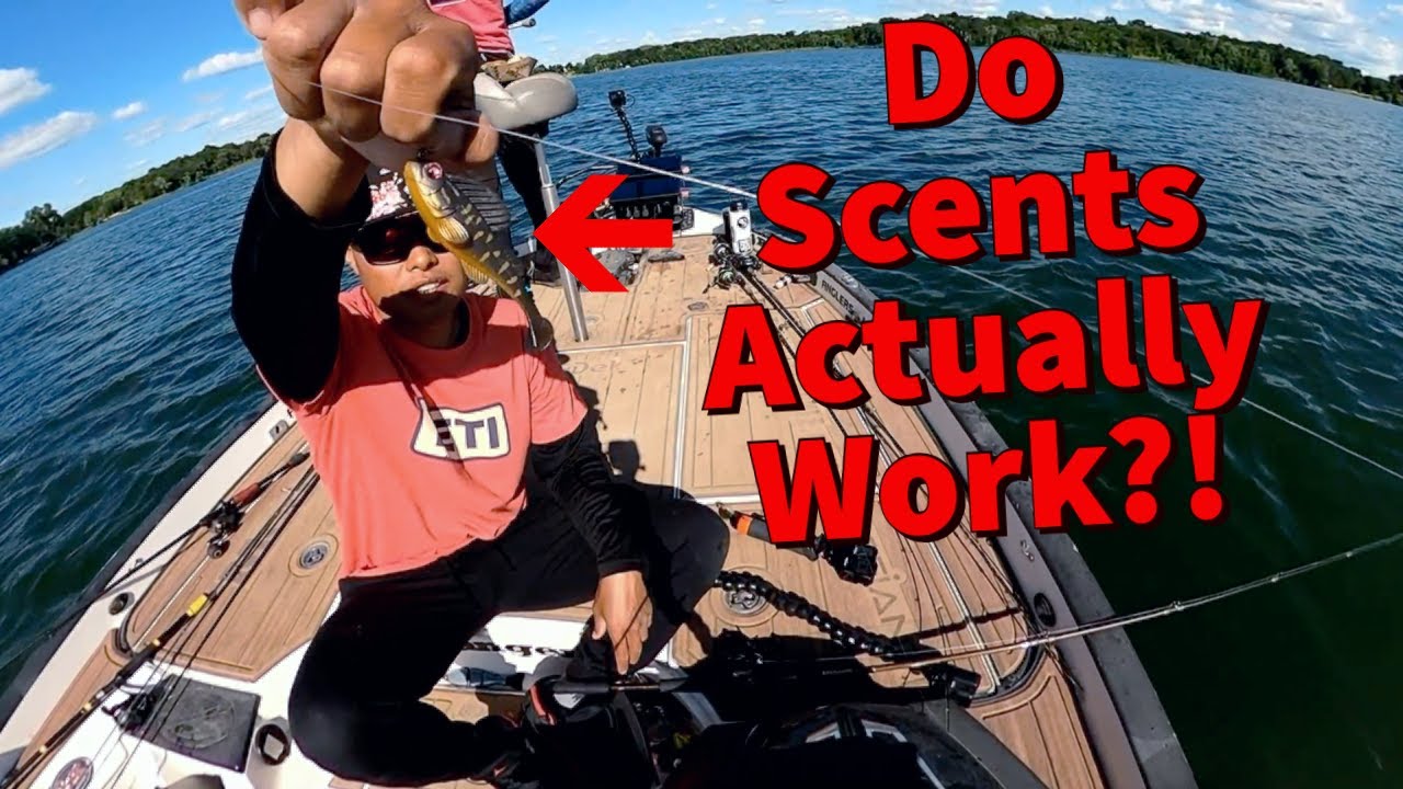 Does Scent Actually Make a Difference in Bass Fishing? @OliverNgy & Jeremy  Pratt 