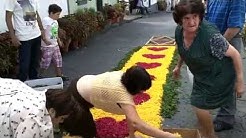 Festa Da Nossa Senhora Da Graca, Porto Formoso 2015