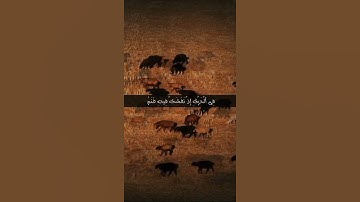 "تعلم العدل من قصة داود وسليمان | تلاوة مؤثرة من سورة الأنبياء"