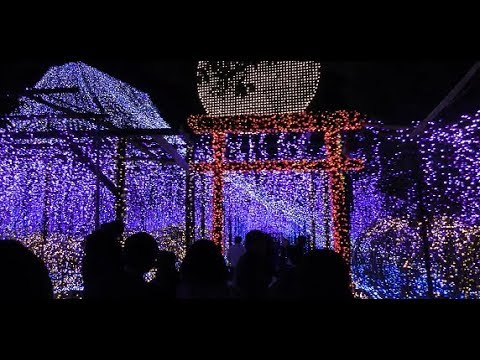 由志園 島根 21年イルミネーション ライトアップ情報 Amatavi