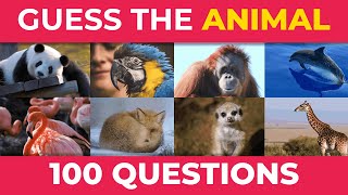 GUESS THE ANIMAL 🦊 Are you a wildlife EXPERT? | Animal Quiz