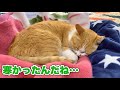 タマさんがブルブル震えていたので