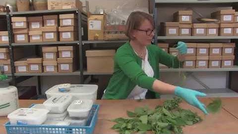 The Must Farm Textiles: Part One Introducing Bronze Age Textiles